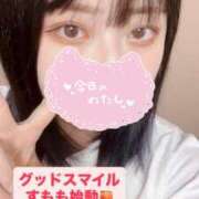 ヒメ日記 2025/07/28 02:46 投稿 すもも始動 グッドスマイル