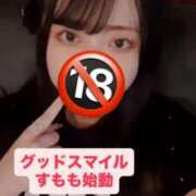 ヒメ日記 2025/08/18 06:00 投稿 すもも始動 グッドスマイル