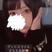 ヒメ日記 2026/08/13 07:13 投稿 すもも始動 グッドスマイル