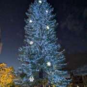 ヒメ日記 2024/12/17 22:32 投稿 もね 熟女デリヘル倶楽部