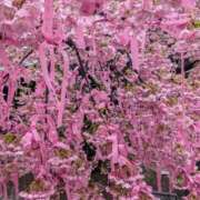 ヒメ日記 2025/03/07 12:25 投稿 もね 熟女デリヘル倶楽部