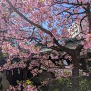 ヒメ日記 2025/03/30 11:53 投稿 もね 熟女デリヘル倶楽部