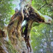 ヒメ日記 2026/03/12 11:07 投稿 もね 熟女デリヘル倶楽部