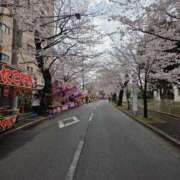 ヒメ日記 2026/03/29 11:09 投稿 もね 熟女デリヘル倶楽部