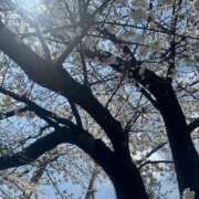 ヒメ日記 2025/04/07 21:11 投稿 笹原 鶯谷人妻城