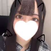 ヒメ日記 2025/03/21 23:16 投稿 リン エピソード(品川)