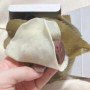 ヒメ日記 2025/01/19 15:28 投稿 美琴-みこと- フォーシーズン