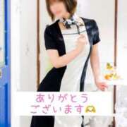 ヒメ日記 2025/04/05 23:18 投稿 美琴-みこと- フォーシーズン