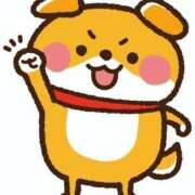 ヒメ日記 2025/04/14 14:08 投稿 美琴-みこと- フォーシーズン