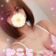 ヒメ日記 2025/06/03 12:18 投稿 美琴-みこと- フォーシーズン