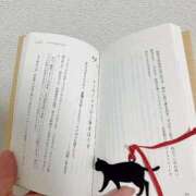 ヒメ日記 2025/10/30 23:08 投稿 美琴-みこと- フォーシーズン