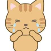 ヒメ日記 2025/11/09 09:38 投稿 美琴-みこと- フォーシーズン