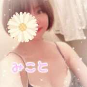 ヒメ日記 2026/04/03 12:48 投稿 美琴-みこと- フォーシーズン