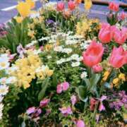 ヒメ日記 2025/04/15 16:03 投稿 ゆき 川崎・東横人妻城