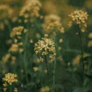 ヒメ日記 2025/04/28 00:03 投稿 ゆき 川崎・東横人妻城