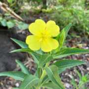 ヒメ日記 2025/08/22 13:36 投稿 ゆき 川崎・東横人妻城