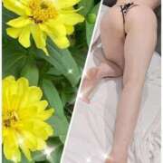 ヒメ日記 2025/07/02 14:00 投稿 藤井(ふじい)奥様 新潟人妻デリバリーヘルス下心