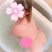 ヒメ日記 2025/07/07 14:00 投稿 藤井(ふじい)奥様 新潟人妻デリバリーヘルス下心