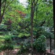 ヒメ日記 2025/02/09 21:14 投稿 まゆ 奥様特急　上野・鶯谷店