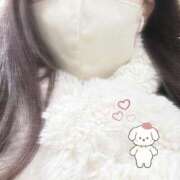 ヒメ日記 2024/12/20 12:13 投稿 ひなこ 五反田人妻ヒットパレード（シンデレラグループ）