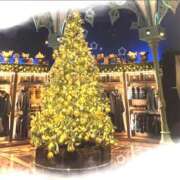 ヒメ日記 2024/12/26 13:14 投稿 ひなこ 五反田人妻ヒットパレード（シンデレラグループ）