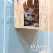 ヒメ日記 2025/06/01 00:44 投稿 ちぇん 熟女の風俗最終章 仙台店