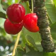 ヒメ日記 2025/06/22 20:24 投稿 ちぇん 熟女の風俗最終章 仙台店