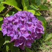 ヒメ日記 2025/06/27 14:56 投稿 ちぇん 熟女の風俗最終章 仙台店