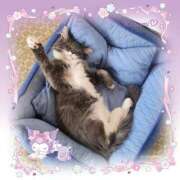 ヒメ日記 2025/07/18 11:14 投稿 ちぇん 熟女の風俗最終章 仙台店