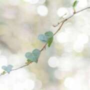 ヒメ日記 2025/08/25 18:10 投稿 ちぇん 熟女の風俗最終章 仙台店