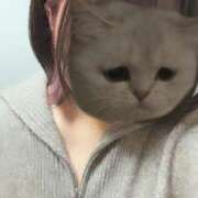 ヒメ日記 2024/12/11 16:31 投稿 ちひろ 虹色メロンパイ 横浜店