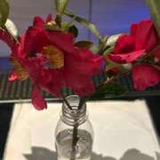 ヒメ日記 2025/03/11 23:02 投稿 ちひろ 虹色メロンパイ 横浜店