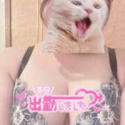 ヒメ日記 2025/05/25 15:35 投稿 ちひろ 虹色メロンパイ 横浜店