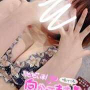 ヒメ日記 2025/08/14 15:52 投稿 ちひろ 虹色メロンパイ 横浜店