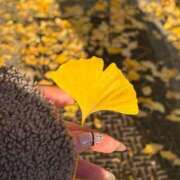 ヒメ日記 2025/11/30 16:23 投稿 ちひろ 虹色メロンパイ 横浜店