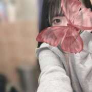 ヒメ日記 2024/12/11 14:33 投稿 アイサ SCREEN(スクリーン)