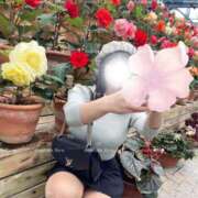 ヒメ日記 2025/03/09 07:32 投稿 天使 そら［L］ モンテクラブ