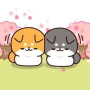 ヒメ日記 2025/04/05 21:33 投稿 森山 あいり La elf（ラ・エルフ）