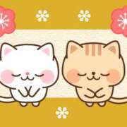 ヒメ日記 2025/06/14 21:43 投稿 森山 あいり La elf（ラ・エルフ）