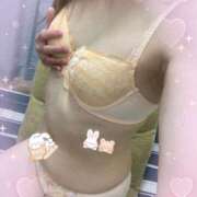 ヒメ日記 2026/04/20 09:43 投稿 せいら【花つばきコース】 浜松人妻援護会