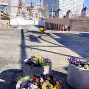 ヒメ日記 2025/03/22 12:16 投稿 めぐみ 横浜 風俗 妻がオンナに変わるとき