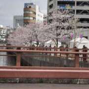 ヒメ日記 2025/03/31 09:52 投稿 めぐみ 横浜 風俗 妻がオンナに変わるとき