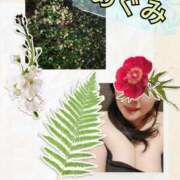 ヒメ日記 2025/05/23 07:49 投稿 めぐみ 横浜 風俗 妻がオンナに変わるとき