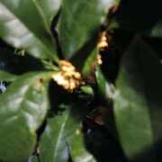 ヒメ日記 2025/10/30 19:52 投稿 めぐみ 横浜 風俗 妻がオンナに変わるとき