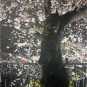 ヒメ日記 2026/04/06 23:26 投稿 めぐみ 横浜 風俗 妻がオンナに変わるとき