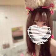 ヒメ日記 2025/01/29 15:42 投稿 らん お姉京都