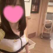 ヒメ日記 2025/03/20 13:02 投稿 らん お姉京都