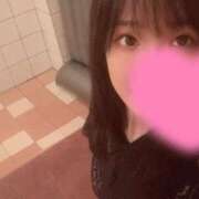 ヒメ日記 2025/03/28 08:52 投稿 らん お姉京都