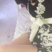 ヒメ日記 2025/03/28 19:22 投稿 らん お姉京都