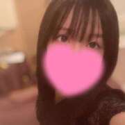 ヒメ日記 2025/04/06 10:02 投稿 らん お姉京都